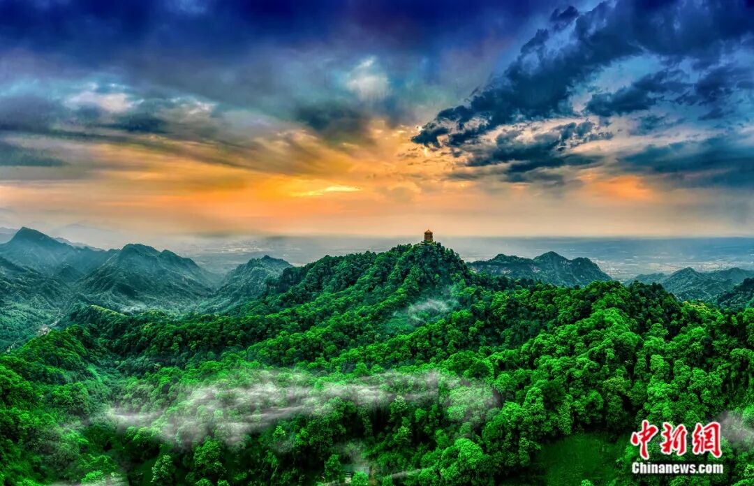 fogg3yr3P73O03Oo.jpg