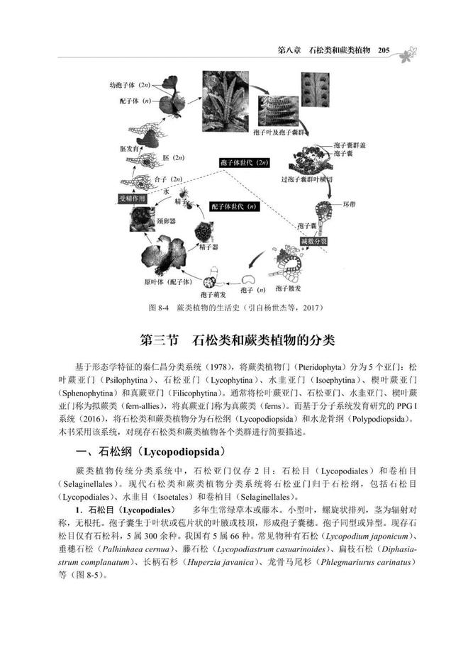 d6pS28BpPZ92Sn1Z.jpg