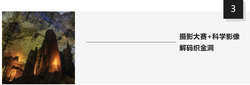zNHVcNIvvtzSXHIZ.jpg
