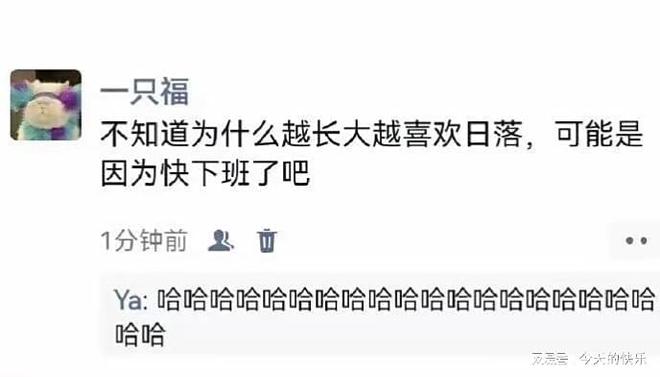 ZqJ98489MTf7PQq6.jpg