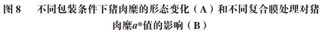 cf1JWnETJ91TMR3A.jpg