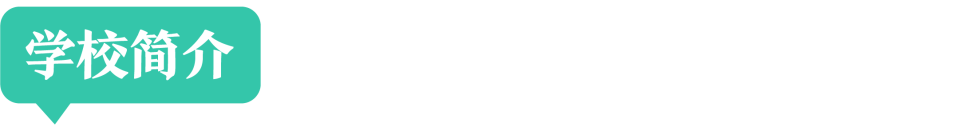 ViiVU8kFsx7gOoGd.jpg