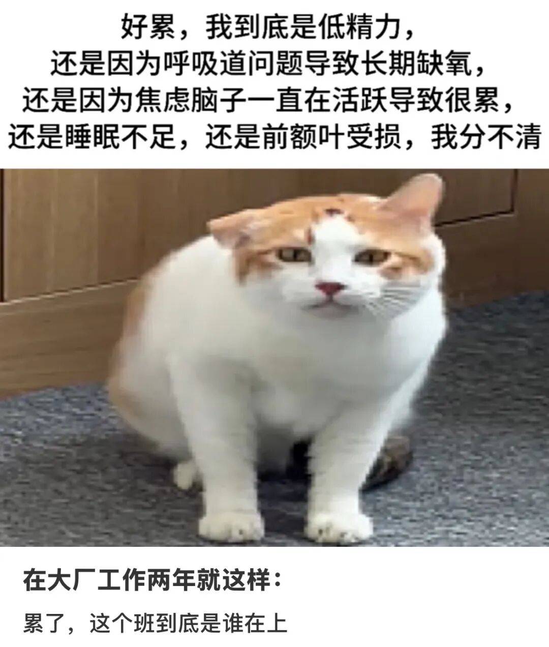 EVMMDCc9iECiXSM4.jpg