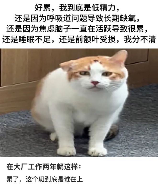 JTAAuuaheZH821oy.jpg