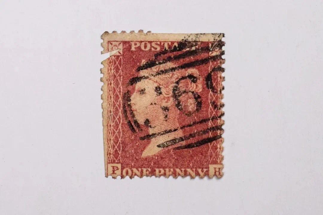 AstLJxiSX6LsS5J5.jpg