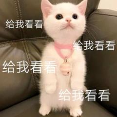 IXnQ2263fvfQd6oq.jpg