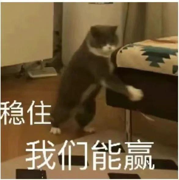 dA29PCdpEE1zZtZD.jpg