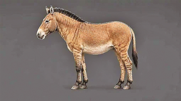 RR6m7ha0E3K070p7.jpg
