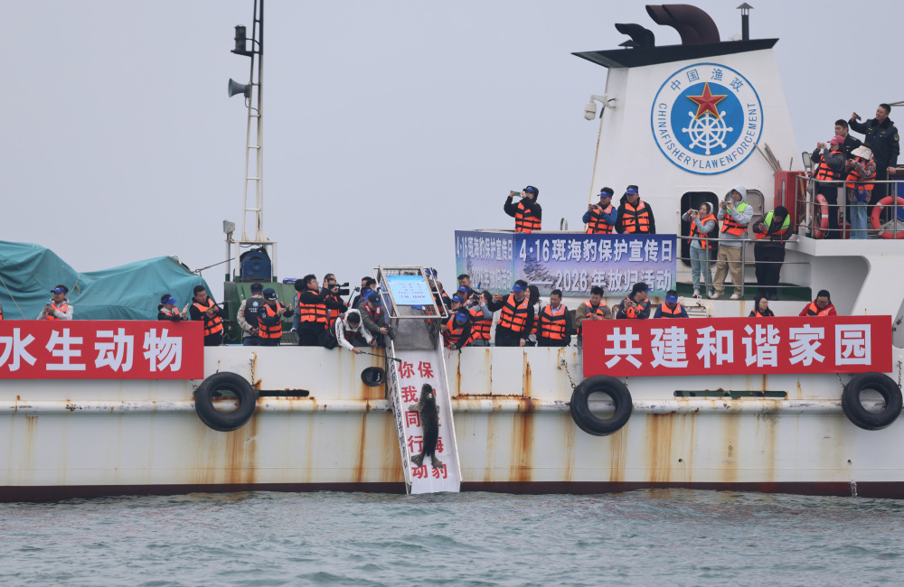 ri044g6AiaF4042P.jpg